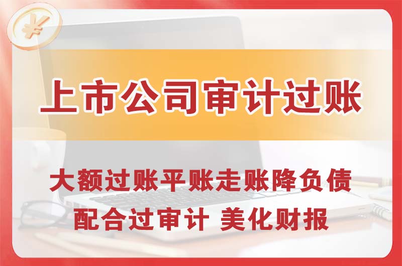 岳麓上市公司审计过账